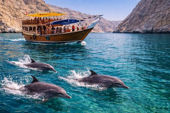 Dauphins devant un dhow dans les fjords de Musandam