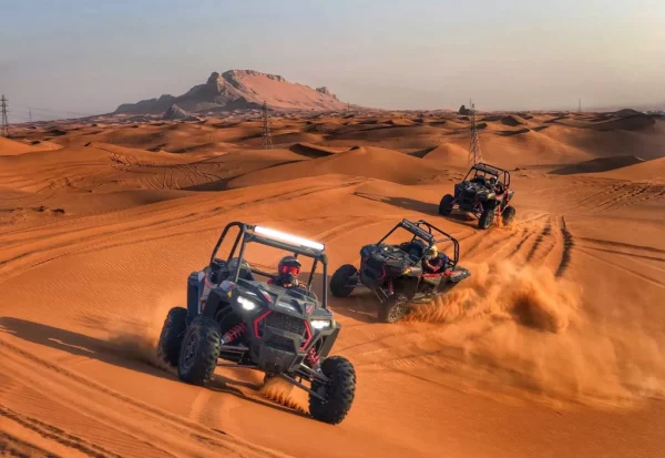 Quad & Buggy